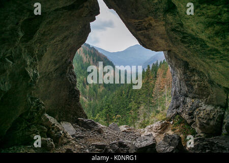 Big Tatry à la Pologne et la Slovaquie. Les animaux sauvages, belle nature, lacs et rivières. 2017 Banque D'Images