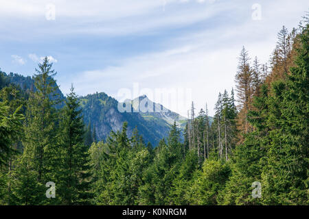 Big Tatry à la Pologne et la Slovaquie. Les animaux sauvages, belle nature, lacs et rivières. 2017 Banque D'Images