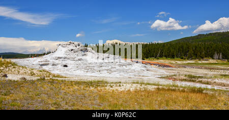 Castle geyser, dans le parc national de Yellowstone's upper geyser basin Banque D'Images