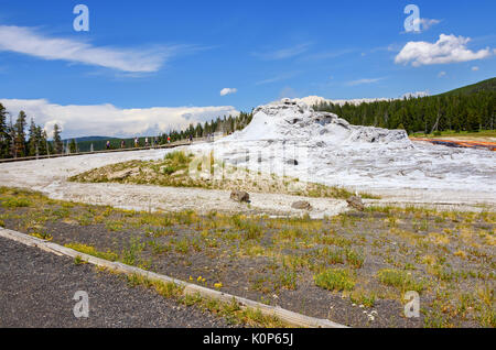 Castle geyser, dans le parc national de Yellowstone geyser basin supérieure. Banque D'Images