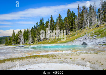 Paysage du turban geyser à côté de grand geyser geyser triplet de l'ouest. au premier plan. Le parc national de Yellowstone. Banque D'Images