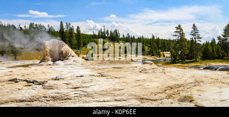 Geyser géant, le deuxième plus haut geyser du monde. La région de geyser Basin, parc national de Yellowstone Banque D'Images