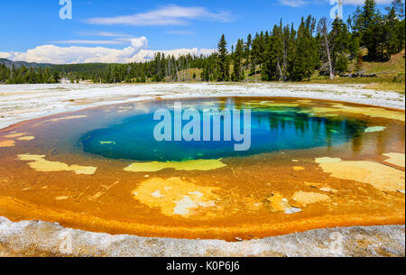 Libre de la beauté extérieure dans la partie supérieure du bassin du geyser de parc national de Yellowstone. Il est relié à la piscine chromatique à proximité. Banque D'Images