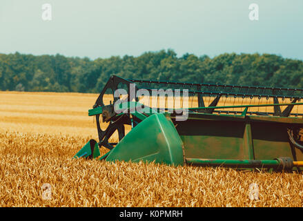 Photo de moissonneuse-batteuse, c'est la récolte. belle arrière-plan d'un champ avec des épis de blé mûrs d'or et bleu ciel Banque D'Images