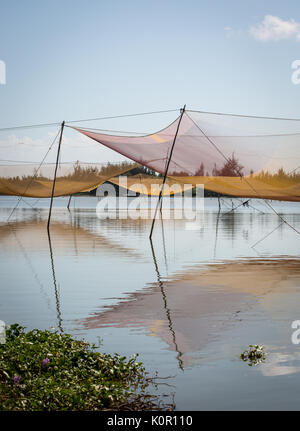 Scène de rivière avec des filets de pêche de la région de Hoi An, Vietnam. Banque D'Images