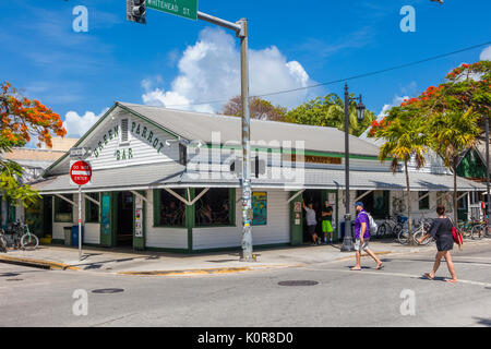 Perroquet vert Bar à Key West en Floride Banque D'Images