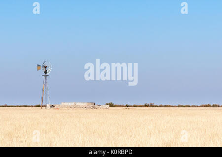 Une herbe paysage avec un moulin à eau - pompant et barrage dans le Nord de la Namibie Banque D'Images