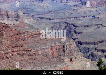 Grand Canyon National Park Arizona USA Banque D'Images