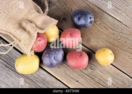 Voir ci-dessus de petites pommes de terre fraîches colorées de répandre de sac de toile sur un vieux fond de bois rustique Banque D'Images