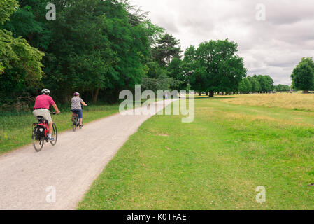 Richmond, London, UK - Juillet 2017 : deux personnes à vélo sur un chemin Bushy Park, Richmond, Londres. Banque D'Images