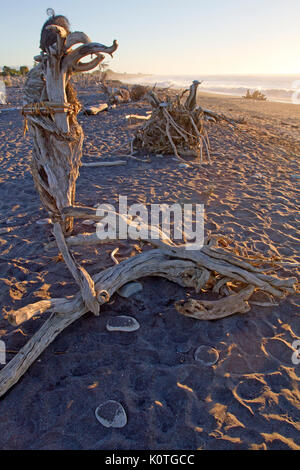 Driftwood transformé en une galerie de sculptures naturelles sur Hokitika beach Banque D'Images