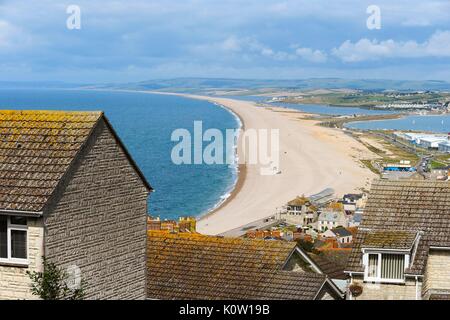 Fortuneswell, Portland, Dorset, UK. Août 24, 2017. Météo britannique. Vue de Weares Fermer à Fortuneswell le long de la célèbre plage de Chesil qui relie l'Île de Portland pour le continent à Wyke Regis dans Dorset sur une chaude journée ensoleillée. La plage est à 17 milles de long et et va de l'anse de Chesil à West Bay. Crédit photo : Graham Hunt/Alamy Live News Banque D'Images