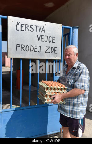 Les vétérinaires tchèques ont découvert la bactérie salmonella à une poule ferme à Pohorelice près de Brno, en Moravie du sud, en République tchèque, le 24 août 2017 et lancé l'abattage d'environ 65 000 poules. (Photo/CTK Vaclav Salek) Banque D'Images