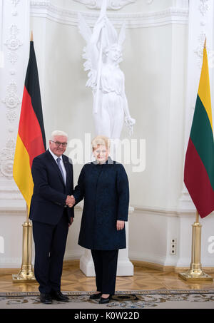 Vilnius, Lituanie. Août 24, 2017. Le Président allemand Frank-Walter Steinmeier rencontre le président de la République de Lituanie, Dalia Grybauskaite, à Vilnius, Lituanie, 24 août 2017. Président M. Steinmeier et son épouse sont en visite officielle aux états baltes entre 22 et 25 août 2017. Photo : Bernd von Jutrczenka/dpa/Alamy Live News Banque D'Images