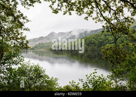 Loch Achray, parc national du Loch Lomond et des Trossachs, Ecosse, Royaume-Uni. Août 25, 2017. Royaume-uni - un jour de brouillard et de fortes averses à Loch Achray, un petit lac d'eau douce dans le parc national du Loch Lomond et des Trossachs en Ecosse. Credit : Kay Roxby/Alamy Live News Banque D'Images