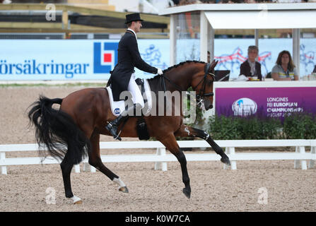 Göteborg, Suède. Août 24, 2017. Dressage rider allemand Soenke Rothenberger sur son cheval Cosmo au cours de la compétition de dressage de la FEI European Championships 2017 à Göteborg, Suède, 24 août 2017. Photo : Friso Gentsch/dpa/Alamy Live News Banque D'Images