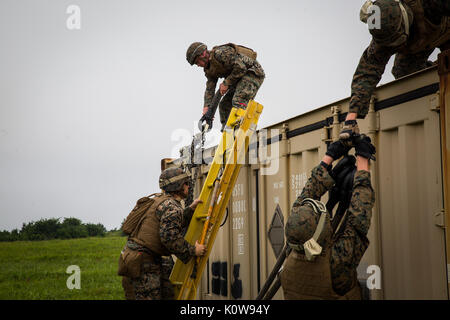 Les Marines ont mené un entraînement externe de levage à l'aide d'élingues à Draughon Range près de la base aérienne de Misawa, au Japon, le 21 août 2017, lors de l'exercice Northern Viper 17 pour soutenir la coopération régionale et la dissuasion. Banque D'Images