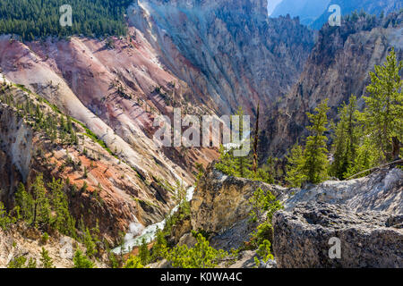 Une vue imprenable sur le Grand Canyon de la Yellowstone de Artist Point dans le Parc National de Yellowstone, Wyoming Banque D'Images