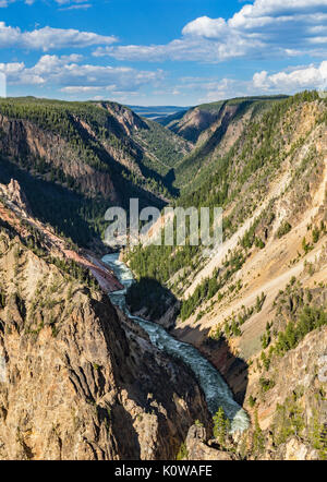 Les parois boisées de la partie inférieure du Grand Canyon de la Yellowstone en parc national de Yellowstone, Wyoming Banque D'Images