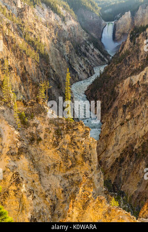 A la fin de l'Lowewr afternooon Falls dans le Grand Canyon de la Yellowstone de Artist Point dans le Parc National de Yellowstone, Wyoming Banque D'Images