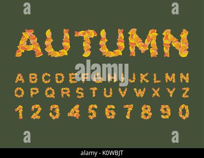 Police d'automne. Feuilles jaunes d'automne. alphabet ABC. Lettres de feuilles tombées Illustration de Vecteur