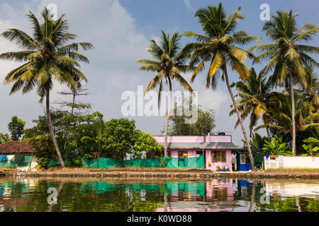 Backwaters du Kerala, Inde Banque D'Images