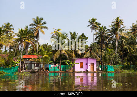 Backwaters du Kerala, Inde Banque D'Images