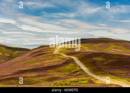 Vue panoramique de la magnifique nature de Cairgorms National Park en Ecosse en été Banque D'Images