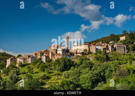 Hill ville de Pieve, Nebbio région, département Haute-Corse, Corse, France Banque D'Images