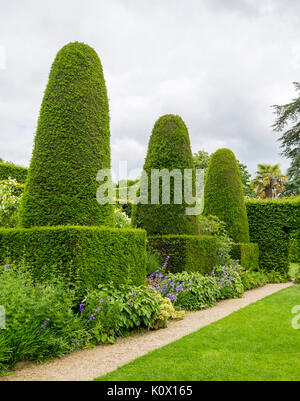 Jardin Anglais avec rangée de forme conique haute haies topiaires d'If à côté de pelouse vert émeraude et soigné pathways Banque D'Images