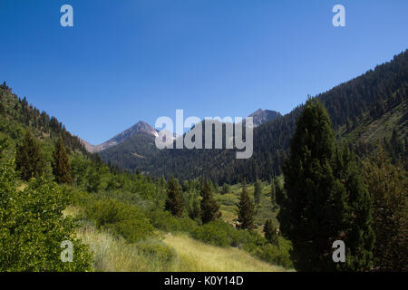 Photo de paysage minéral King Valley, Sequoia National Park Banque D'Images