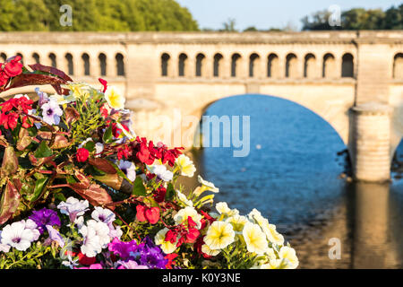 Le pont-canal de l'Orb à Béziers, un pont-canal du Canal du Midi dans le sud de la France, avec de belles fleurs en premier plan Banque D'Images