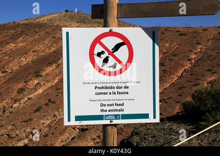 Ne pas nourrir les animaux, signe 339 Mirador Sotavento, Fuerteventura, Îles Canaries, Espagne Banque D'Images