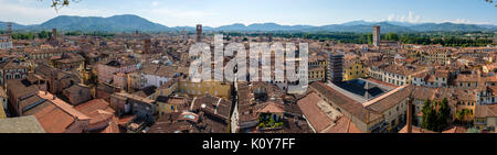 Vue de la tour Torre Guinigi, Lucca, Toscane, Italie Banque D'Images