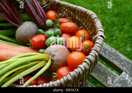 Close-up de betterave et cucamelons avec tomates et carottes dans un panier en osier sur un banc de jardin rustique Banque D'Images