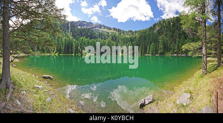 Un beau lac de montagne isolé avec de l'eau claire comme du cristal turquoise, entouré par la forêt. Paysage pittoresque panorama. Steiermark, Autriche. Banque D'Images