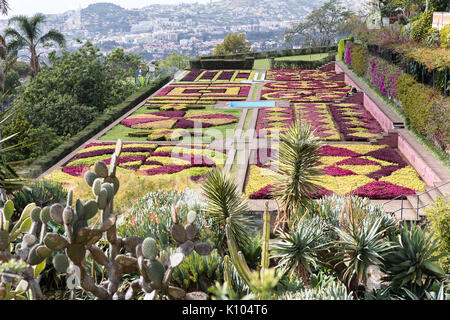 Le jardin botanique à Funchal, Madère. Banque D'Images