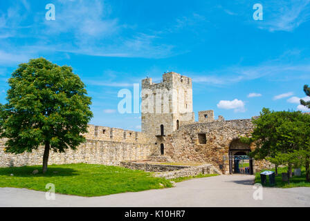 Despot's Gate et Dizdar tower, parc de Kalemegdan, Belgrade, Serbie Banque D'Images