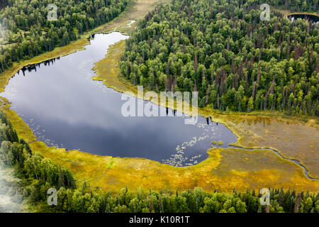 Vue aérienne de la forêt de taïga et du lac entouré d'une forêt verte dense et de plantes de toundra jaune Banque D'Images