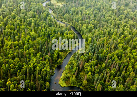 Vue aérienne d'une abondance de variétés d'arbres et autre végétation qui fleurit sur les deux côté de la rivière sur la taïga en été Banque D'Images