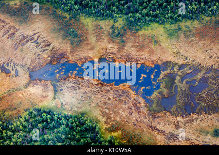 Vue aérienne du lac dans une forêt de la taïga Banque D'Images