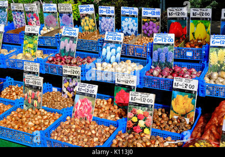 Les ampoules pour la vente sur les jardins d'échoppe de marché Banque D'Images