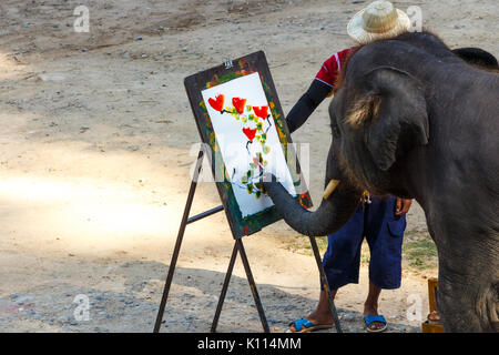 Éléphant est peinture de couleur de l'huile à Mae Sa elephant camp , Chiangmai ,Thaïlande . Banque D'Images