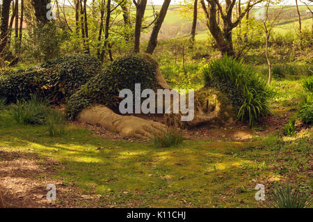 Les jardins perdus de Heligan en Cornouailles jardins ouverts au public toute l'année touristes attractions et les visiteurs à Cornwall Banque D'Images