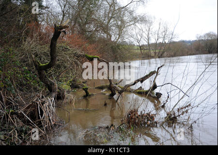 La Berche à Trimpley, près de Bewdley. Banque D'Images