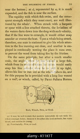 L'alphabet de la pêche scientifique à l'usage des débutants BHL6168325 Banque D'Images