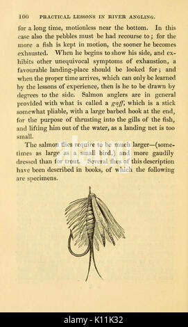 L'alphabet de la pêche scientifique à l'usage des débutants (page 100, Figure mouche) BHL6168370 Banque D'Images