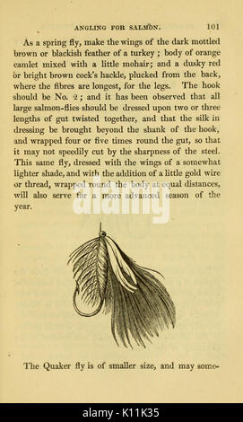 L'alphabet de la pêche scientifique à l'usage des débutants (page 101, Figure mouche) BHL6168371 Banque D'Images