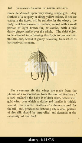 L'alphabet de la pêche scientifique à l'usage des débutants (page 102, Figure mouche) BHL6168372 Banque D'Images