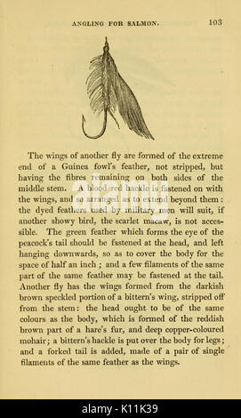 L'alphabet de la pêche scientifique à l'usage des débutants (page 103, Figure mouche) BHL6168373 Banque D'Images